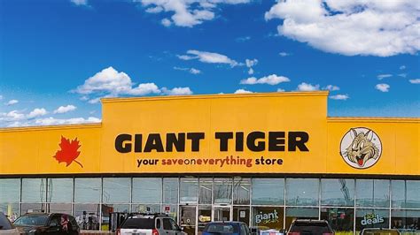 goiant tiger|giant tiger ontario.